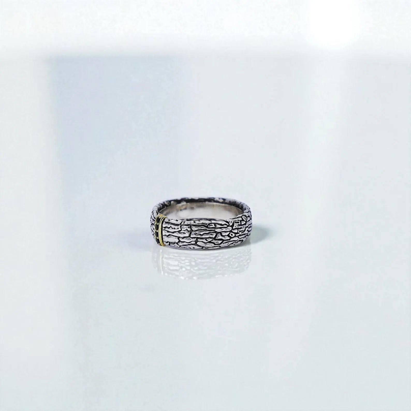 Side profile image of a thick sterling silver ring with oxidized surface detail, featuring a narrow gold-plated stripe set with black stones. This statement piece is both durable and eye-catching, suitable for daily wear or special occasions.