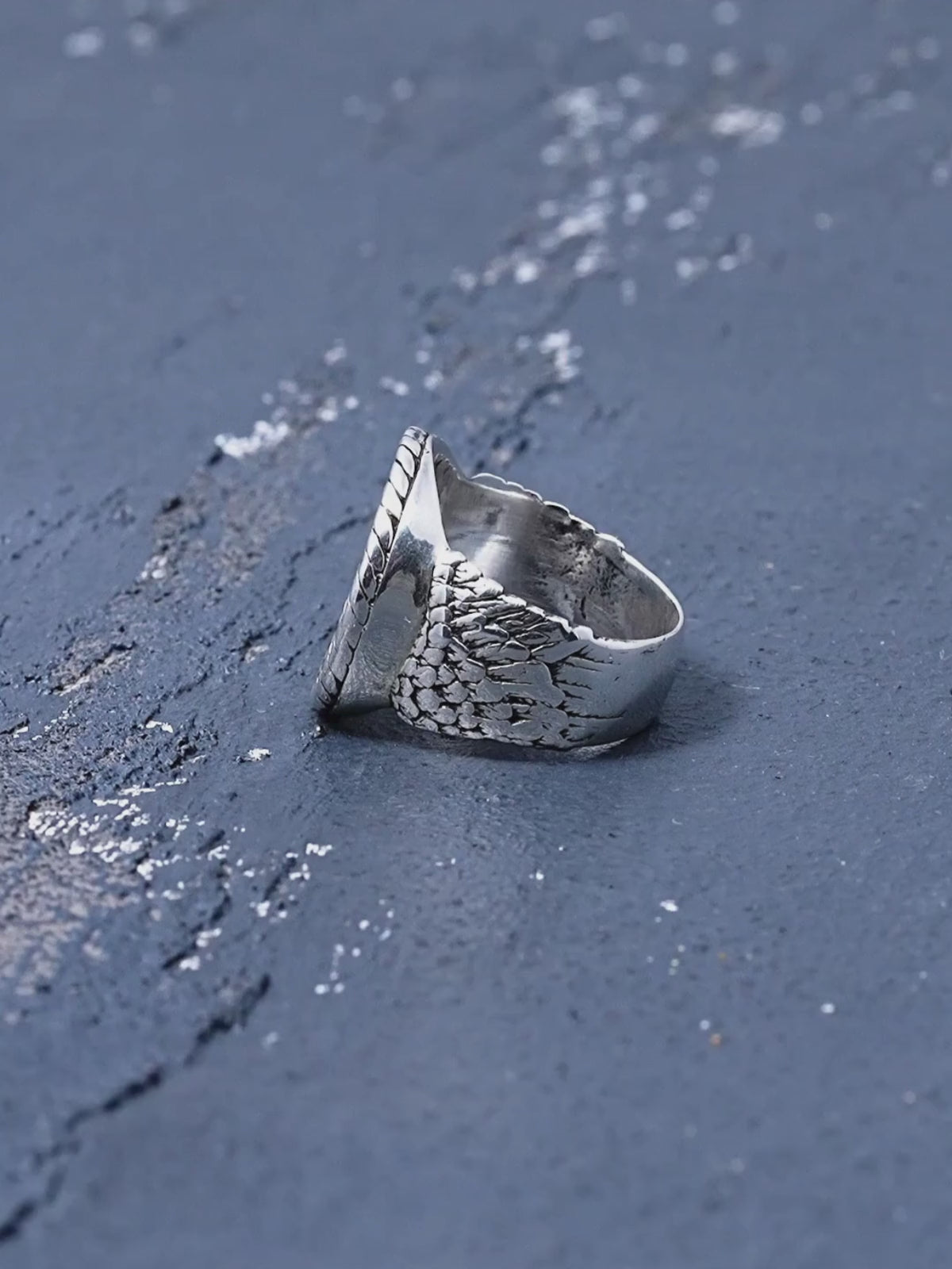 Raven Norse Ring